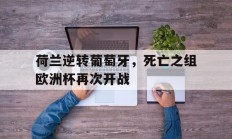 B体育入口-荷兰逆转葡萄牙，死亡之组欧洲杯再次开战