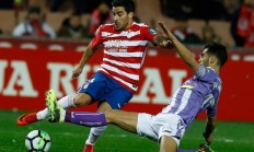 B体育官网-黑龙江队战战兢兢，终结河南队的连胜势头