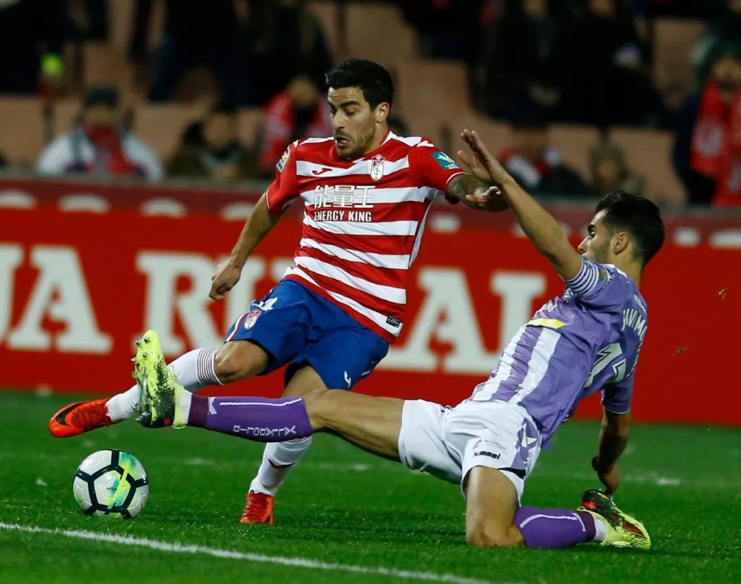 黑龙江队战战兢兢，终结河南队的连胜势头